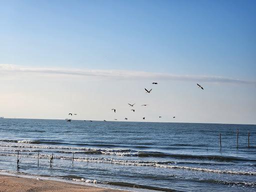 Sandee Hackberry Beach Photo