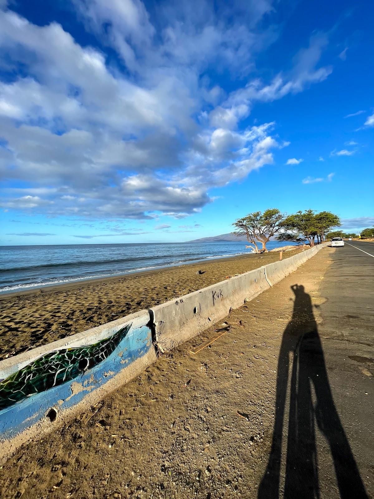 Sandee - Awalua Beach