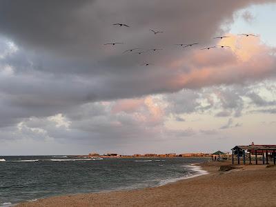 Sandee - Playa Angosta