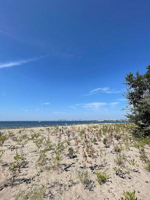 Sandee - Hanlan's Point Beach