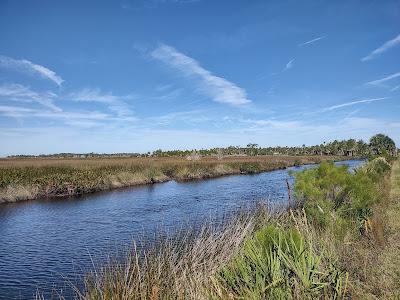 Sandee - Linda Pedersen Park