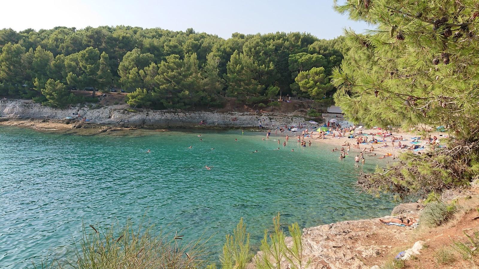 Sandee Gortan's Cove