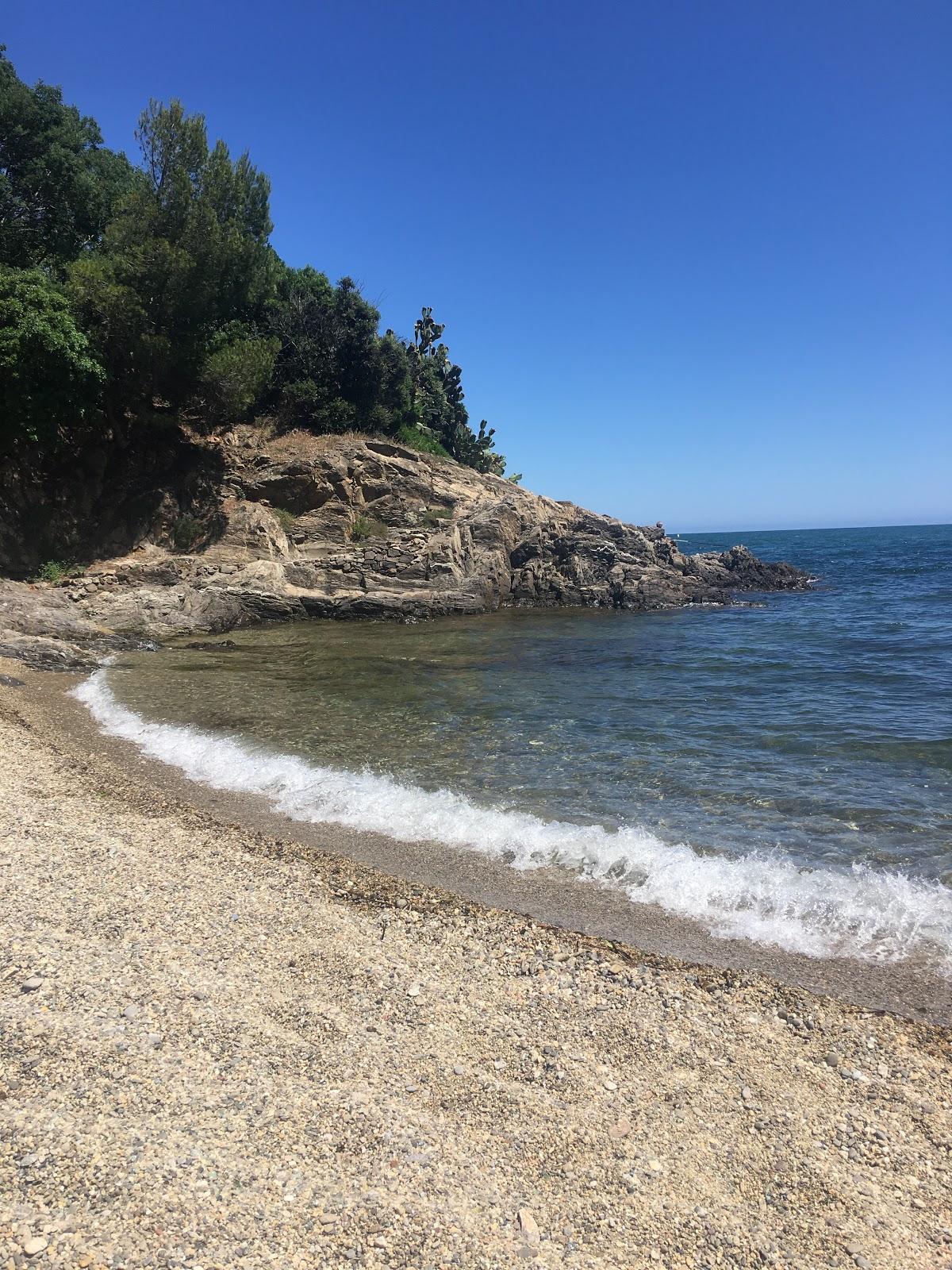 Sandee Plage Du Petit Boucharel