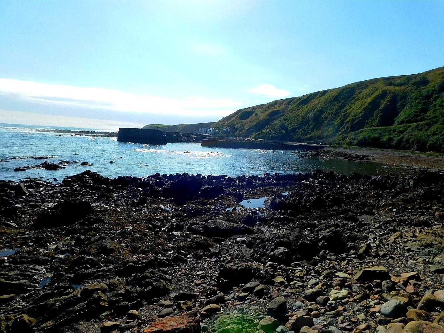 Sandee Burnmouth Beach Photo