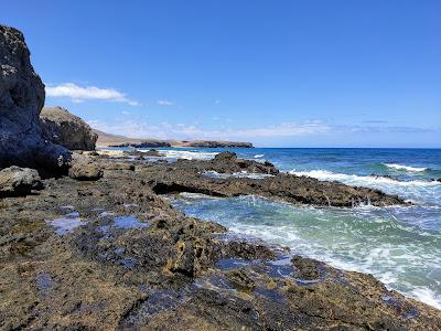 Sandee - Caleta Del Congrio