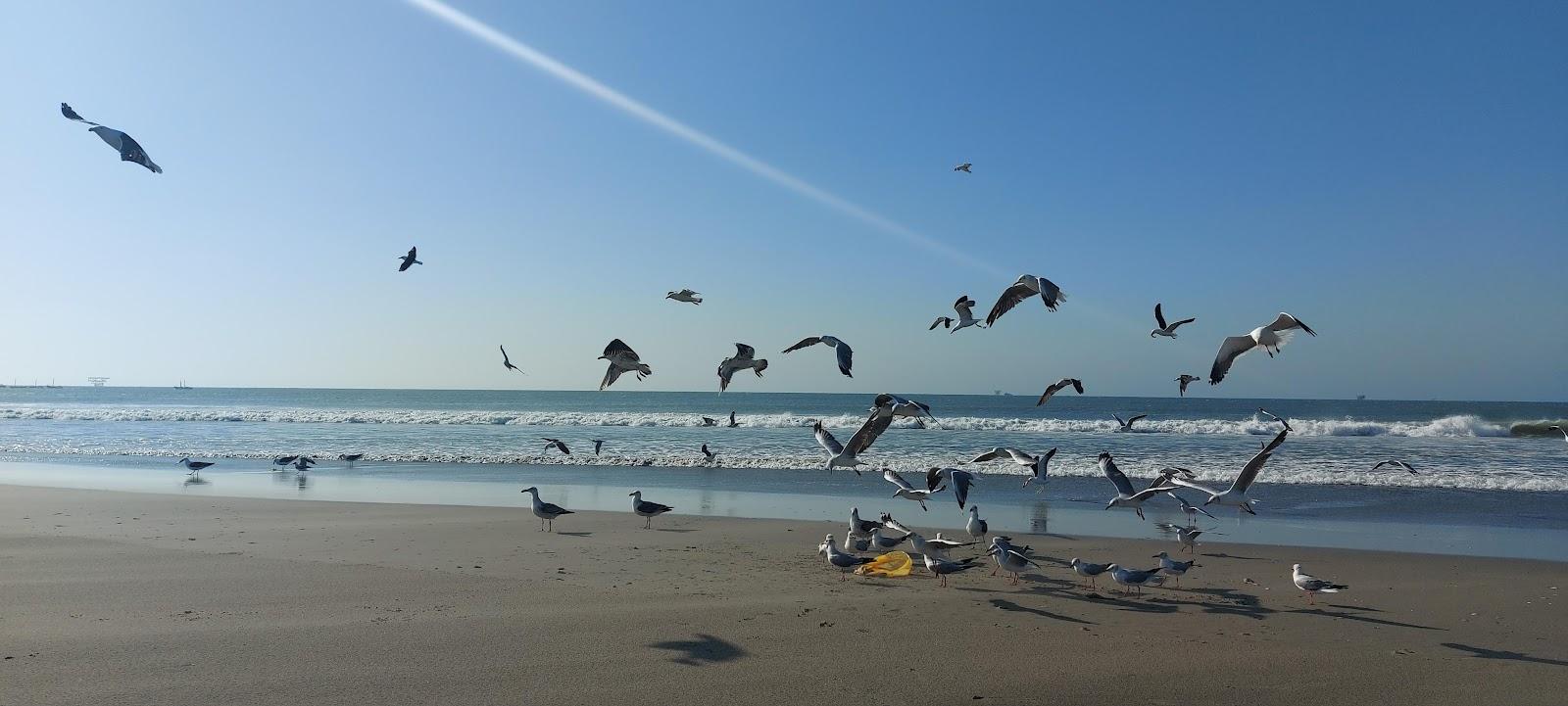 Sandee - Playa Caleta San Pablo