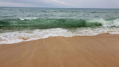 Sandee - Praia Do Palheirao