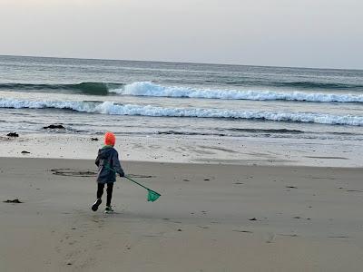 Sandee - Plage De Poul Stripo