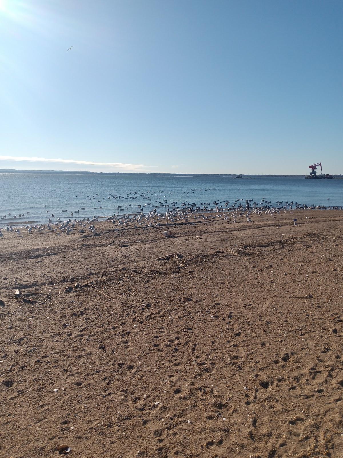 Sandee Municipal Beach Robinson