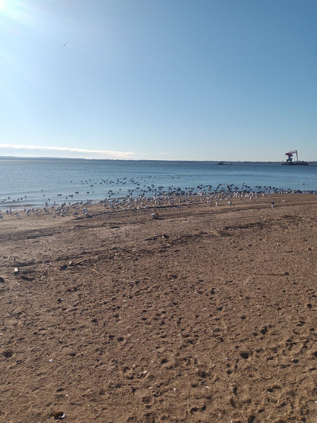 Sandee Municipal Beach Robinson Photo