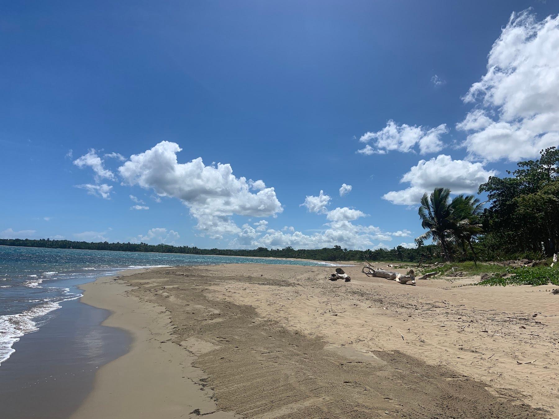 Sandee Playa Dorada