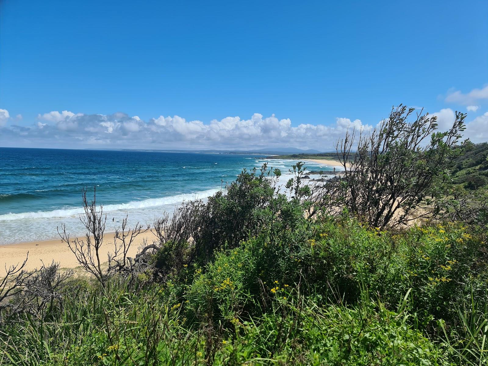 Sandee Tilba Beach Photo