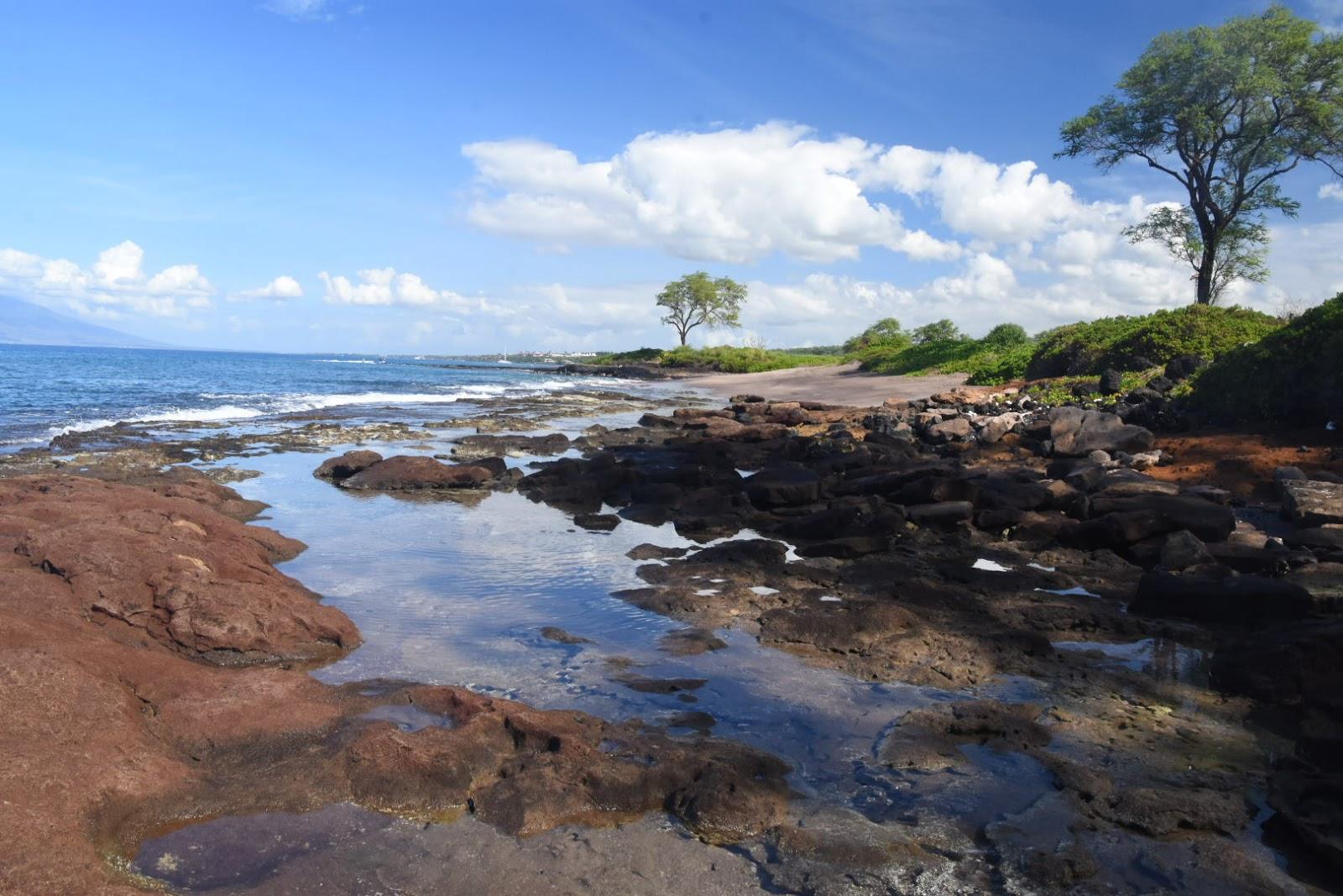 Sandee - Black Sand Beach