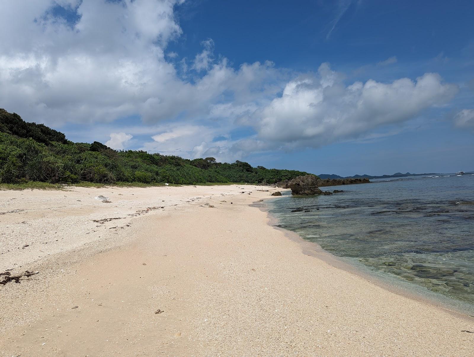 Sandee Seashell Beach Photo