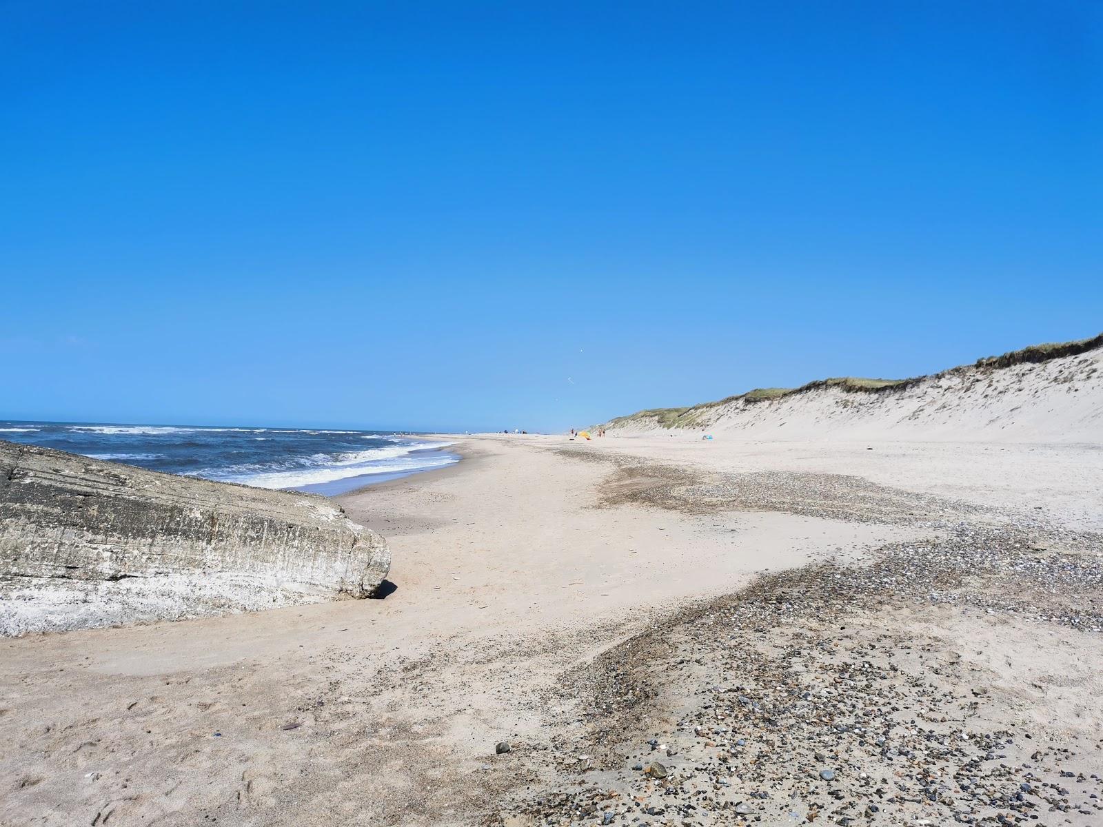 Sandee North Sea At Vester Husby