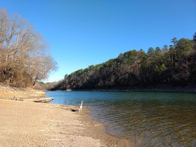 Sandee - Amity Park - Blue Gill Way