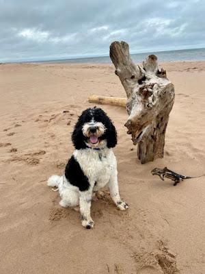 Sandee - Blooming Point Beach