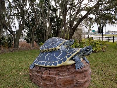 Sandee - Cooter Rock Beach