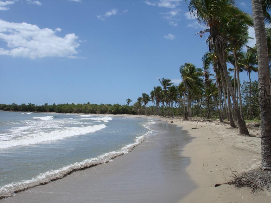 Sandee Playa Marota