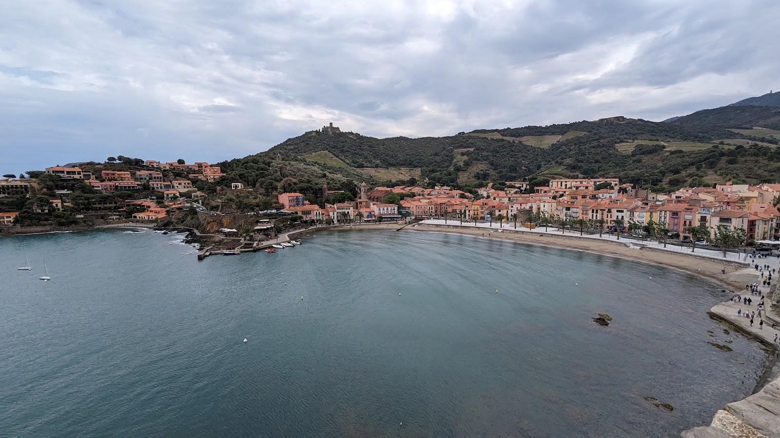 Sandee Plage De Port D'Avall Photo