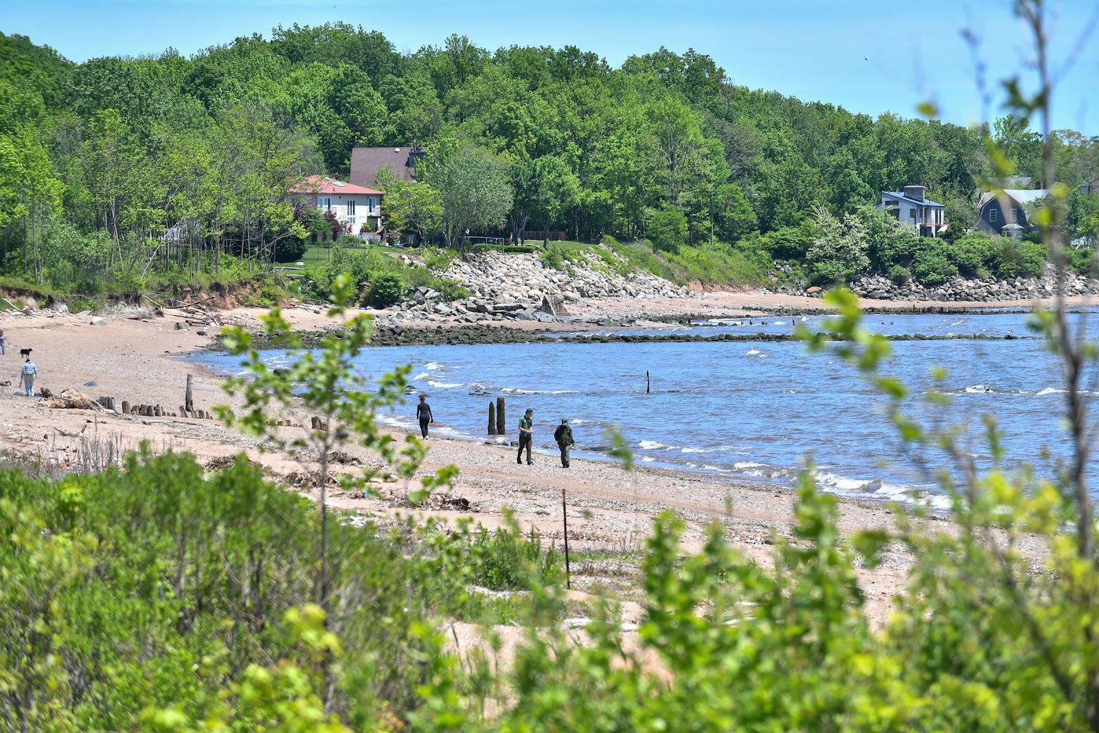 Sandee Wolfe's Pond Park