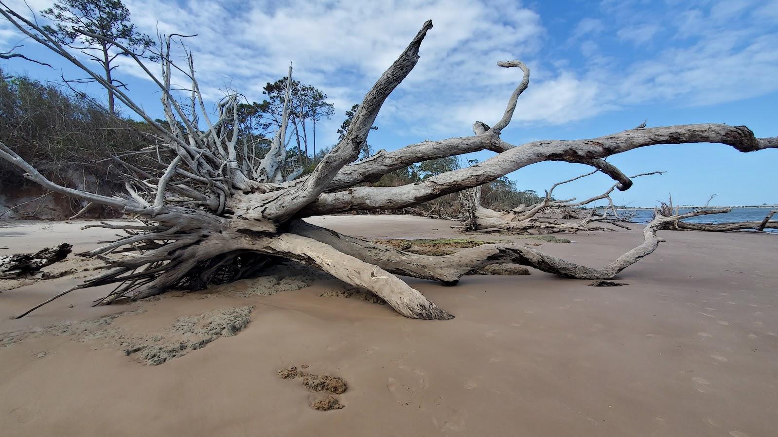 Sandee - Boneyard Beach