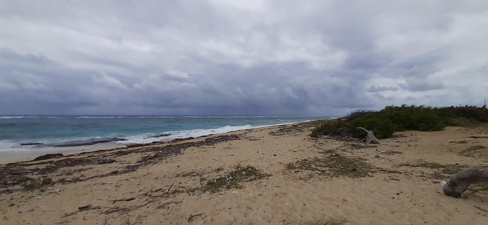 Sandee Playa Maisi