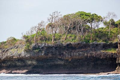 Sandee - Nyuma Maji Beach