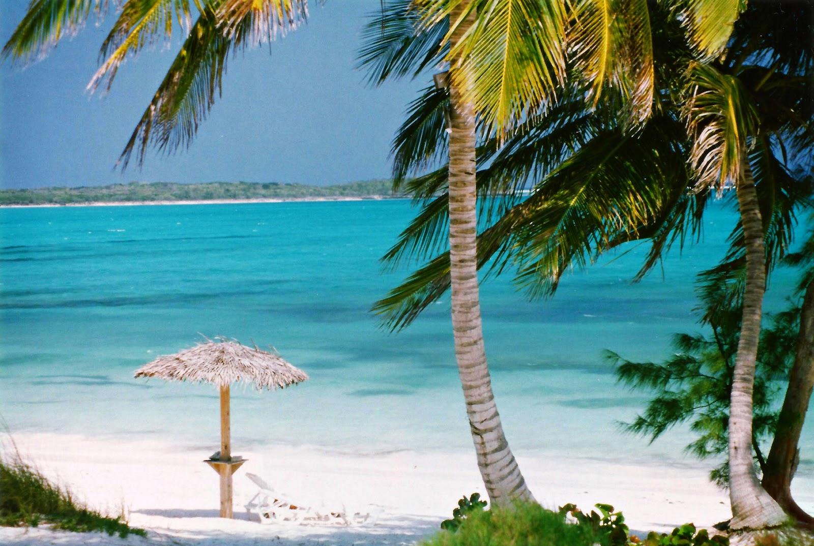 Sandee - HomePage / Tarpum Bay