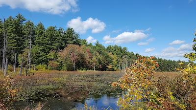 Sandee - Pawtuckaway State Park