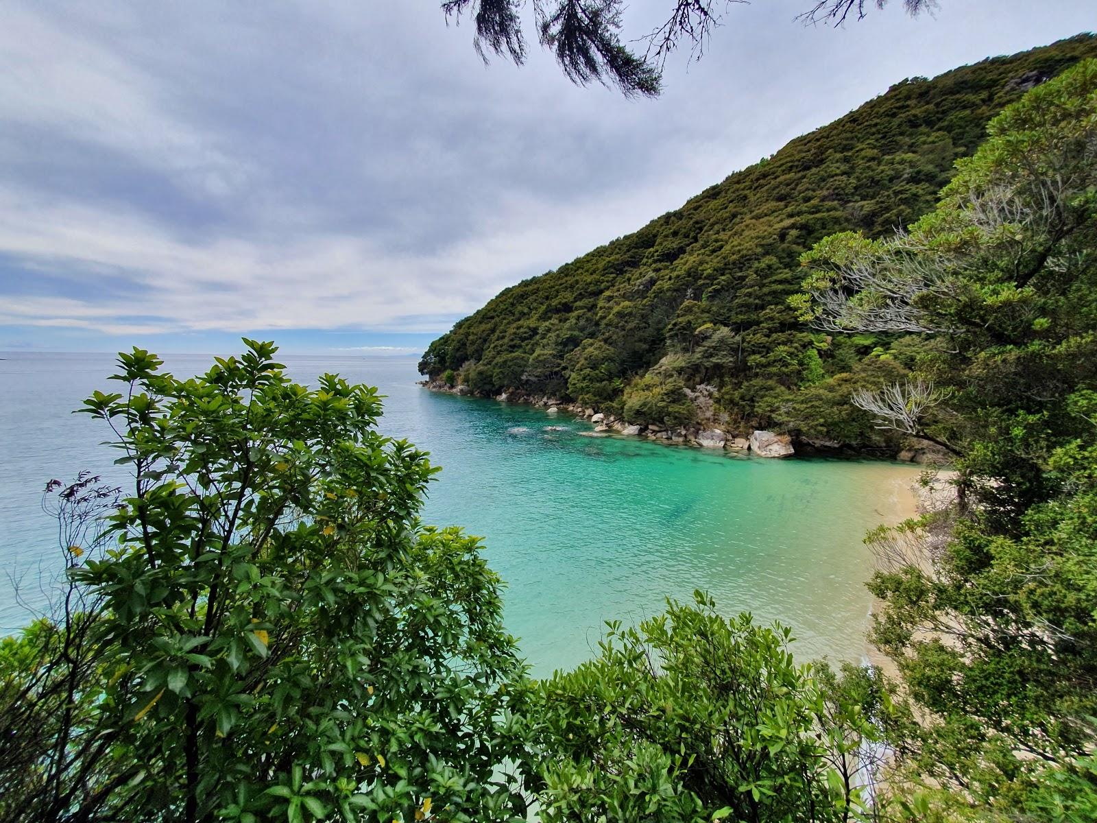 Sandee Medlands Beach Photo