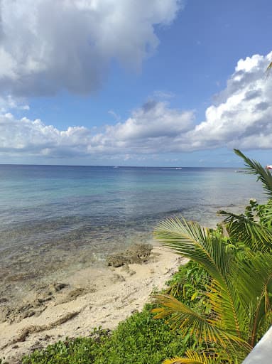 Sandee Stingray Beach Cozumel Photo