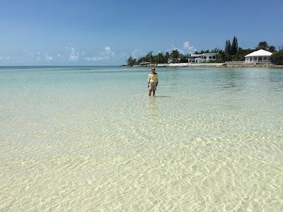 Sandee - Loop View Beach