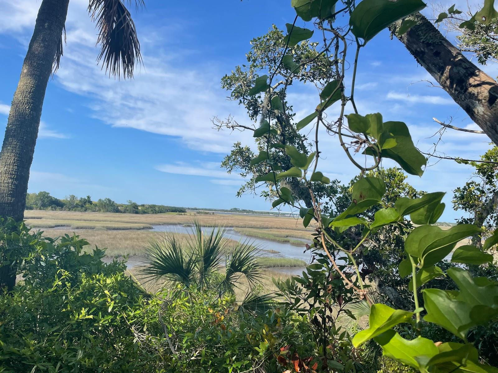 Sandee - Timucuan Ecological And Historical Preserve