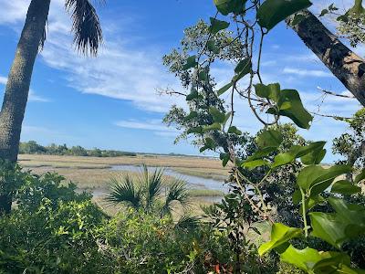 Sandee - Timucuan Ecological And Historical Preserve