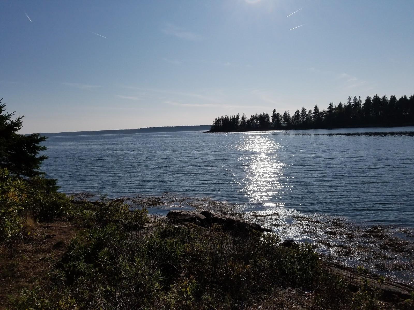 Sandee Spectacle Island Preserve Photo