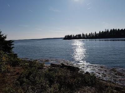 Sandee - Spectacle Island Preserve