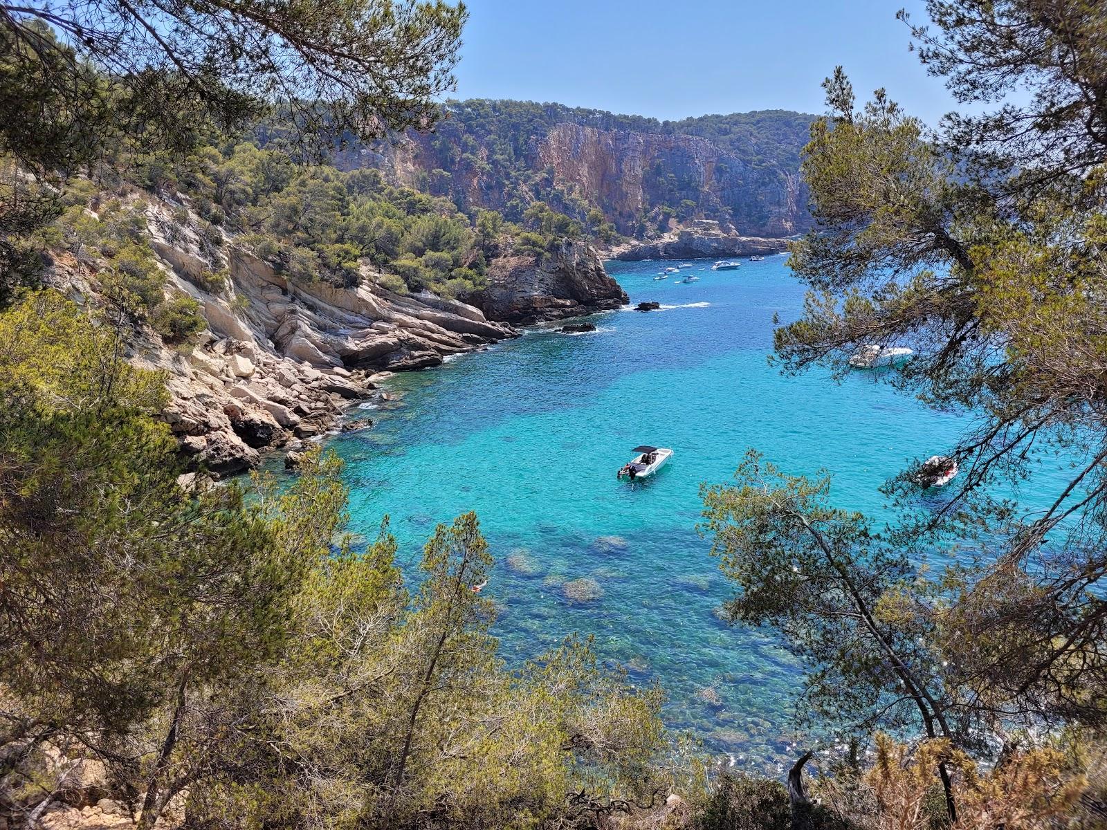 Saint Cyr sur Mer Photo - Sandee