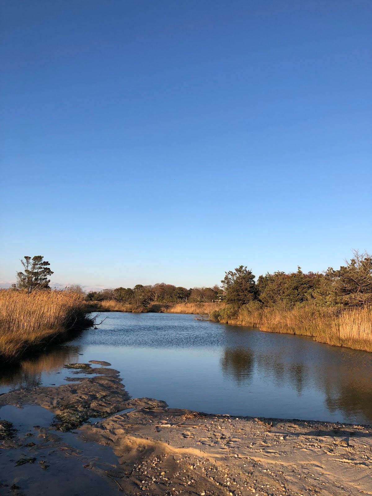 Sandee - Bellport Beach