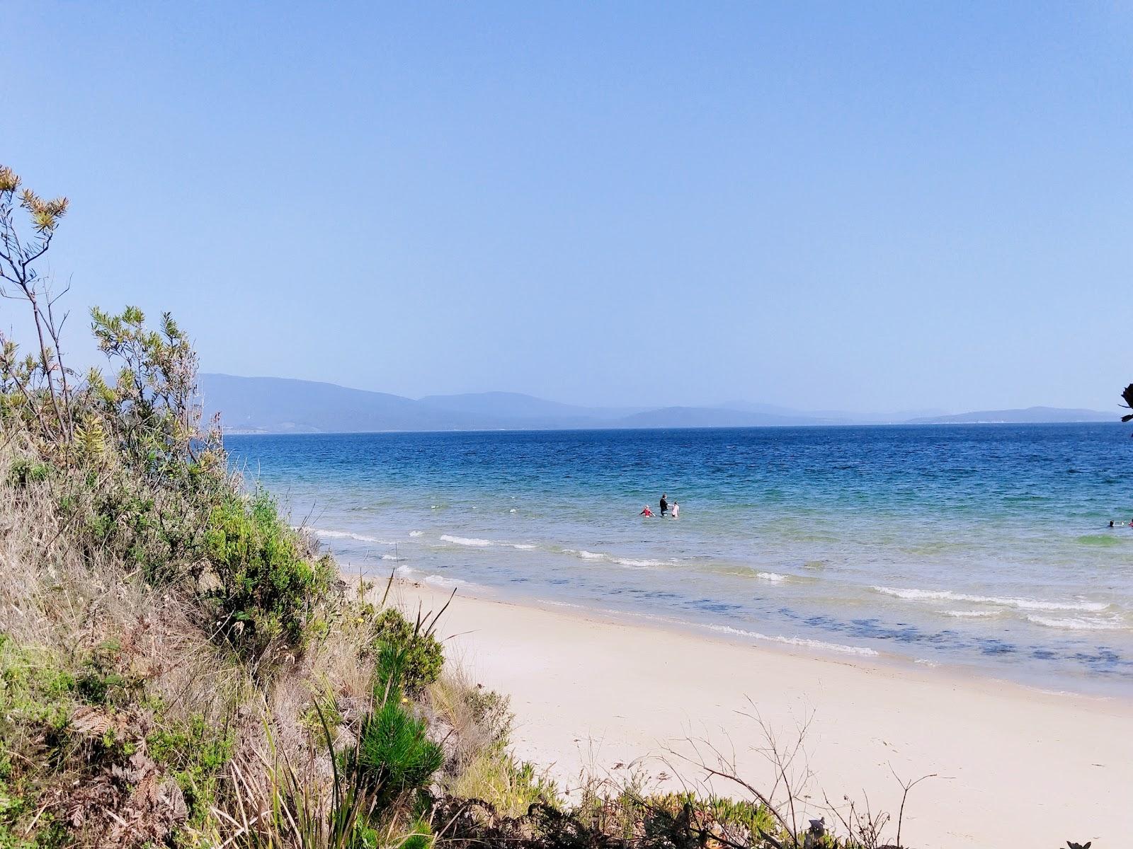 Sandee Ninepin Point Beach