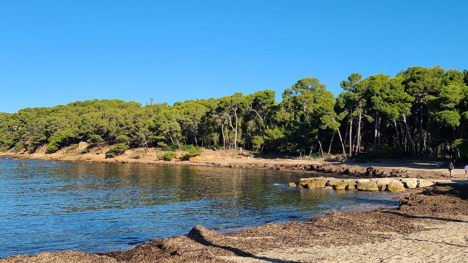 Sandee Plage De Sainte-Asile