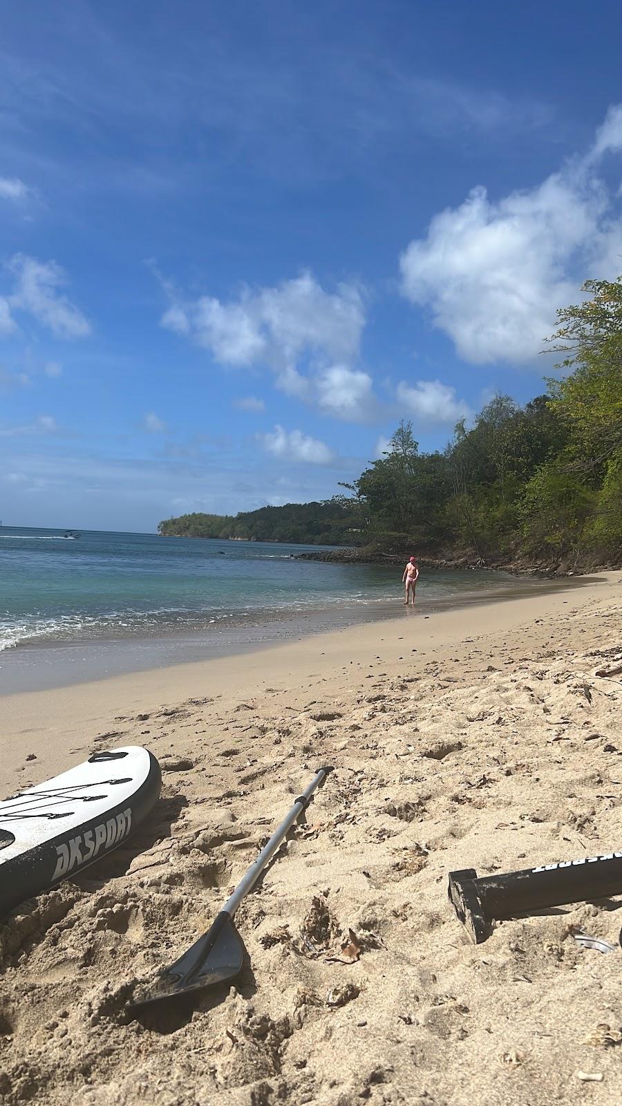 Sandee Beautiful Secret Beach