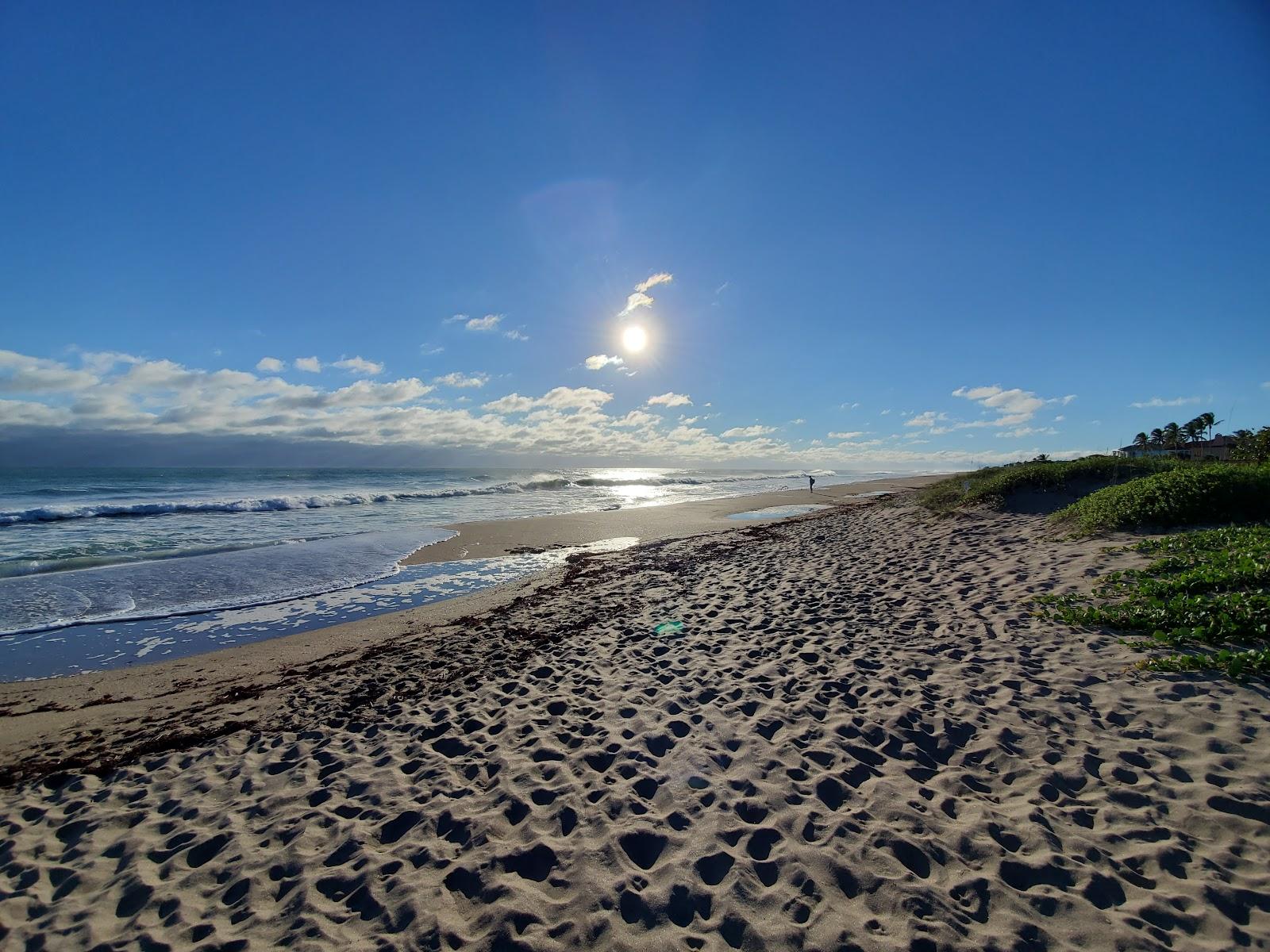 Sandee - Tiger Shores Beach