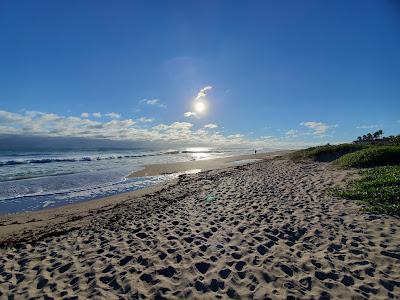 Sandee - Tiger Shores Beach