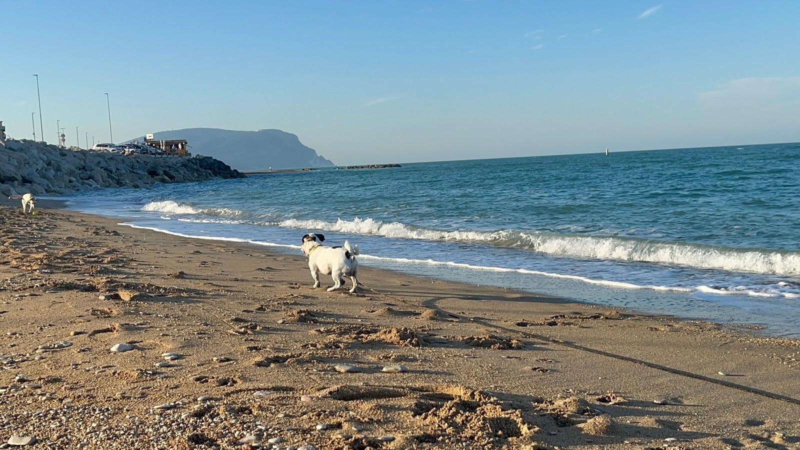 Sandee Spiaggia Con Accesso Consentito Ai Cani