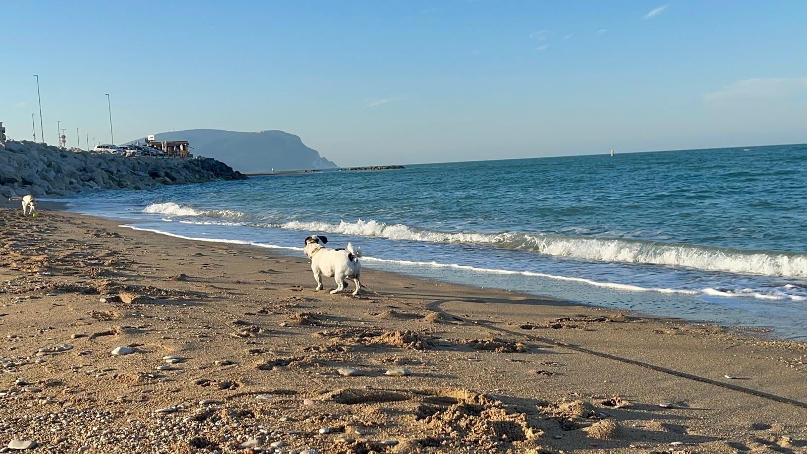Sandee Spiaggia Con Accesso Consentito Ai Cani Photo