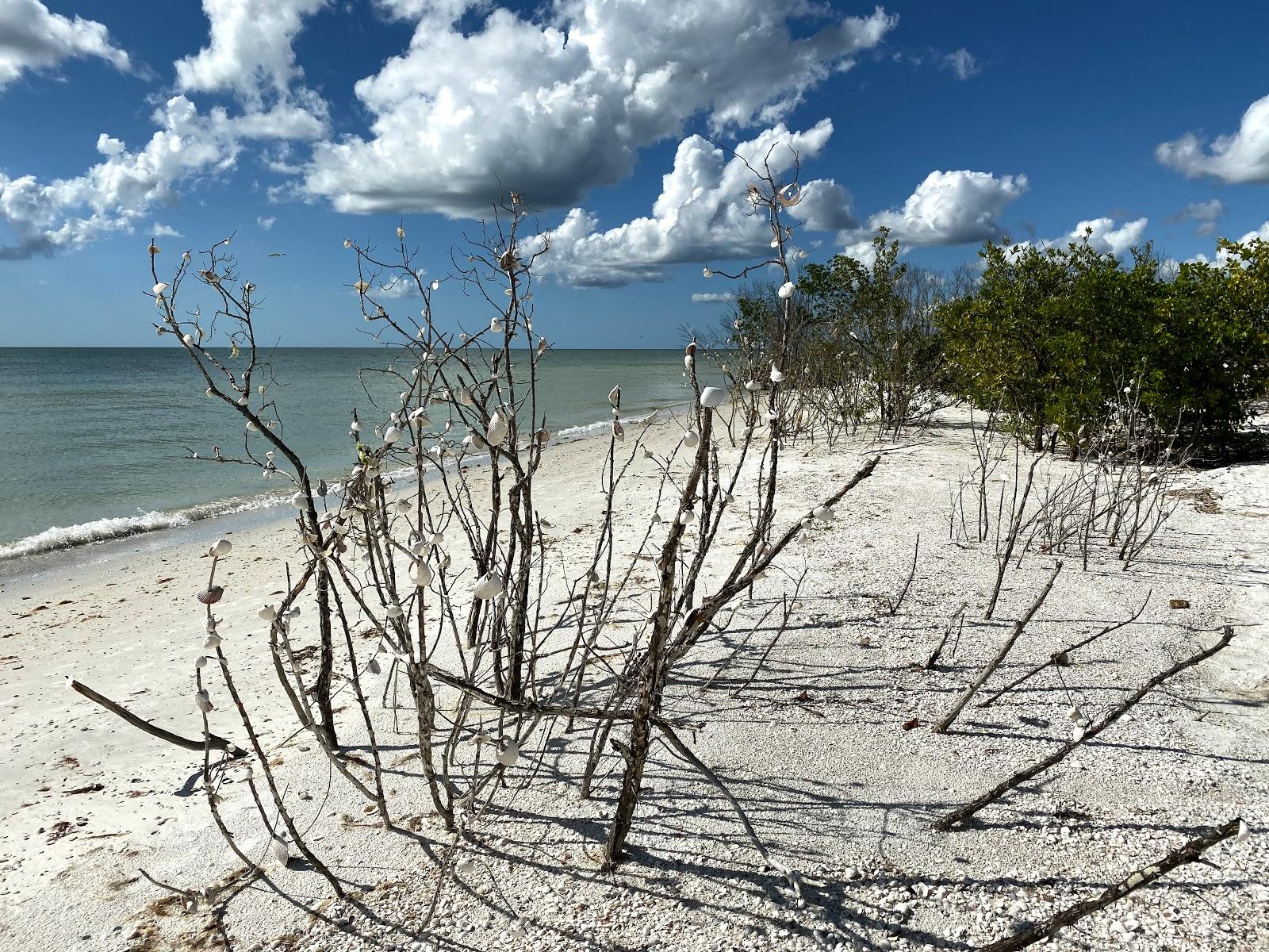 Sandee - Tigertail Beach