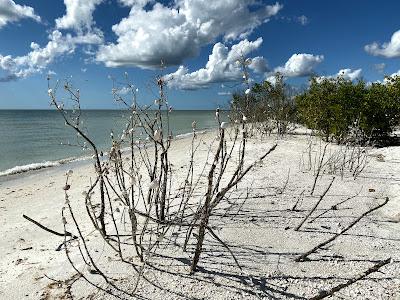 Sandee - Tigertail Beach