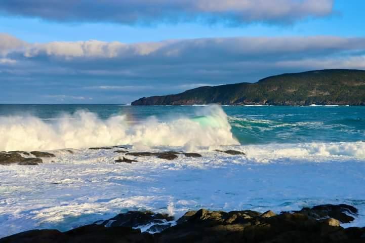 Sandee - Cove Beach