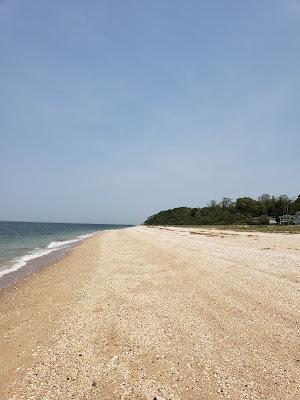 Sandee - Mccabes Beach